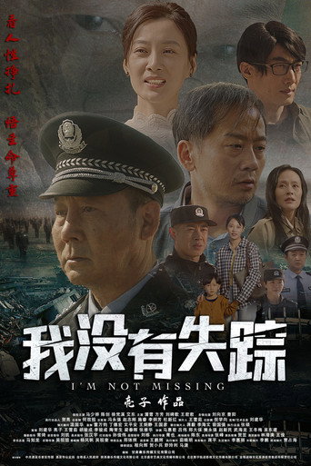 我没有失踪海报