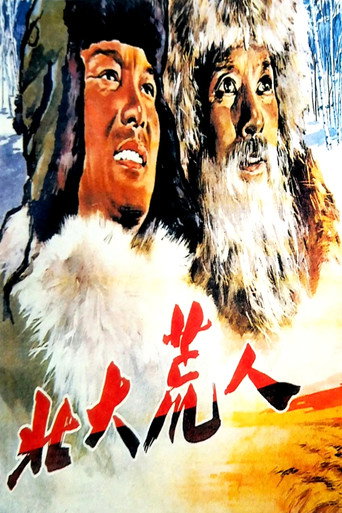 北大荒人海报