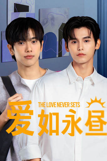 爱如永昼海报