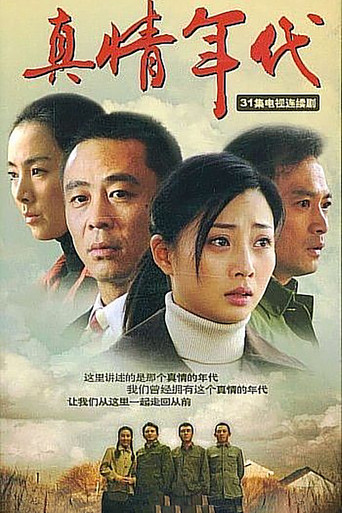 真情年代海报