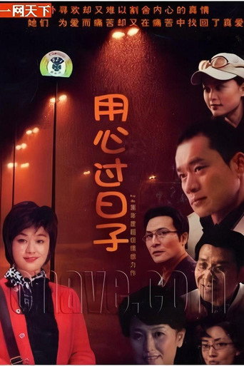 用心过日子海报