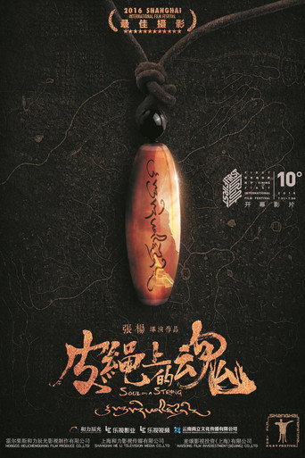 皮绳上的魂海报
