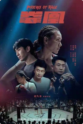 拳凰海报