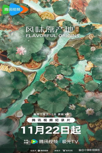 风味原产地·湖北海报