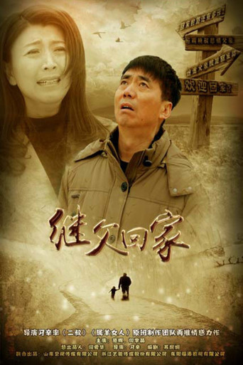 继父回家海报