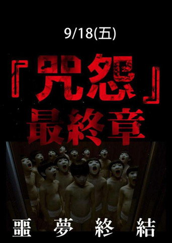 咒怨：完结篇海报
