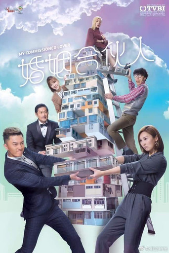 婚姻合伙人海报