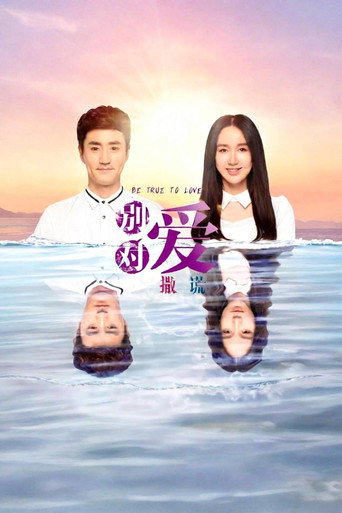请对我说谎海报