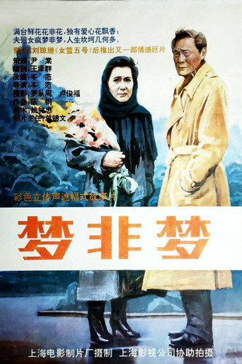梦非梦海报