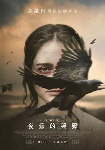 夜莺海报