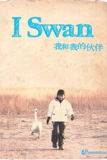 我和我的伙伴海报