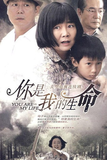 你是我的生命海报