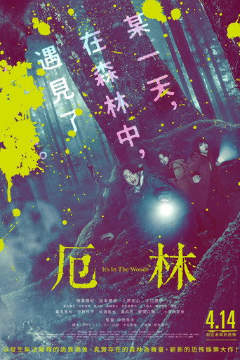 “那个”所在的森林海报