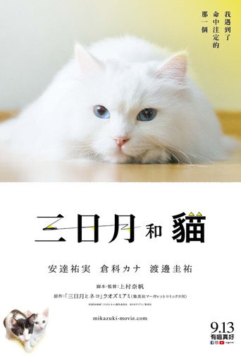 三日月与猫海报