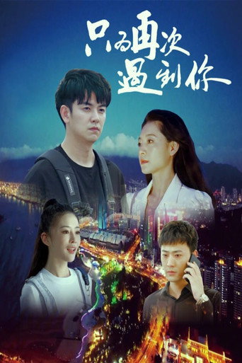 只为再次遇到你海报