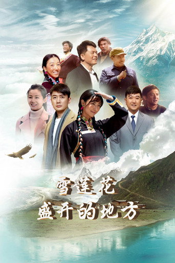 雪莲花盛开的地方海报