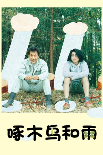 啄木鸟和雨海报