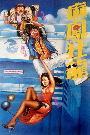 癫凤狂龙海报