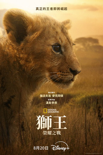 狮王：荣耀之战海报