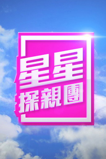 星星探亲团海报