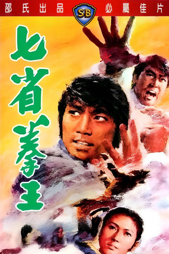 七省拳王海报