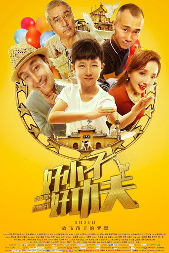 好小子好功夫海报