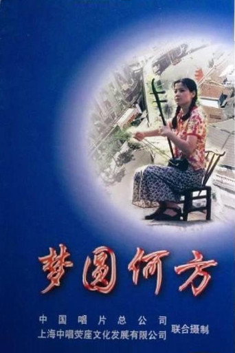 梦圆何方海报