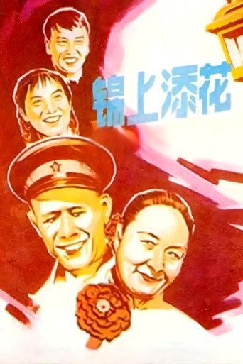 锦上添花海报