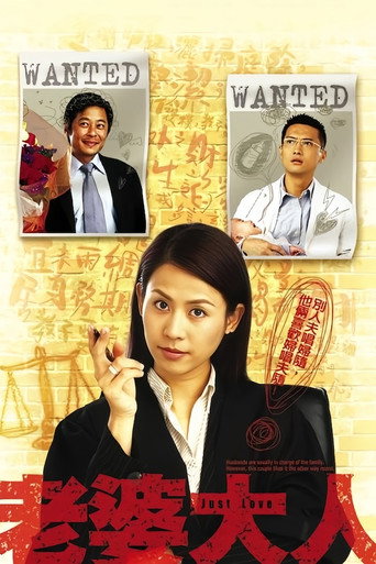 老婆大人海报