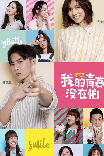 我的青春没在怕海报