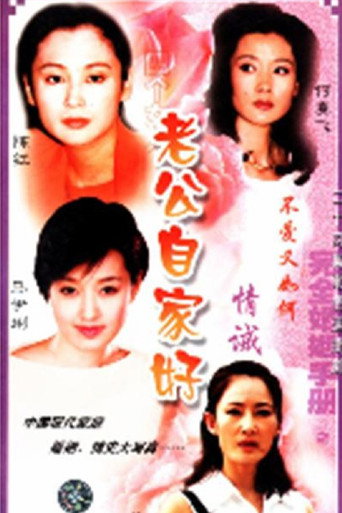 完全婚姻手册海报