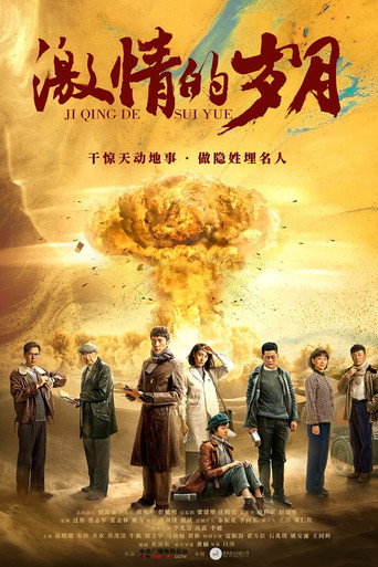 激情的岁月海报