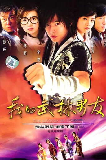 我的武林男友海报
