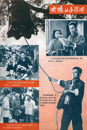 欢腾的小凉河海报