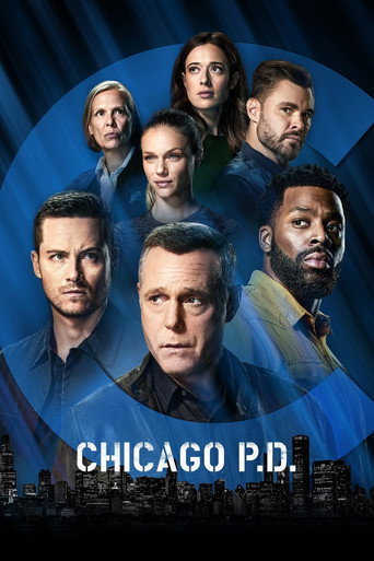 芝加哥警署 第 9 季海报