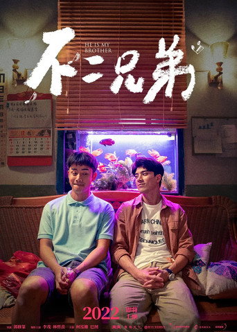 不二兄弟海报