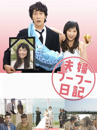 夫妇日记海报