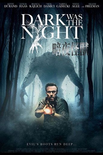 漆黑如夜海报