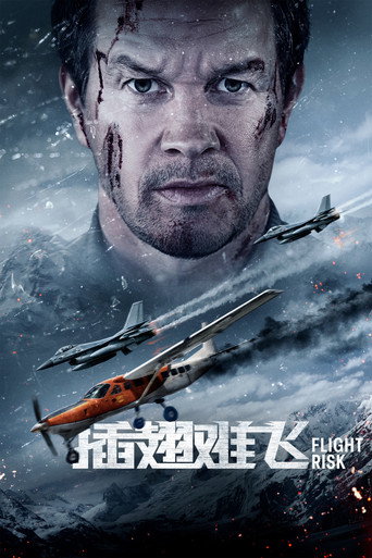 插翅难飞海报