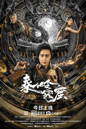 秦岭密窟海报