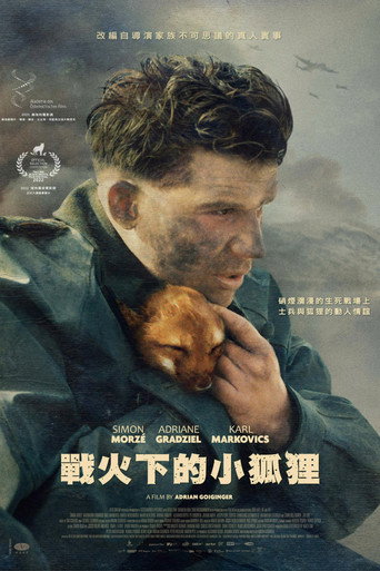 战火中的小狐狸海报