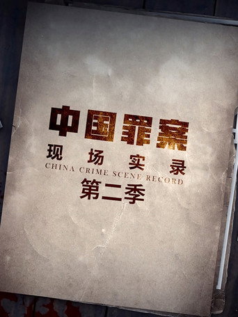 罪案现场实录 第 2 季海报