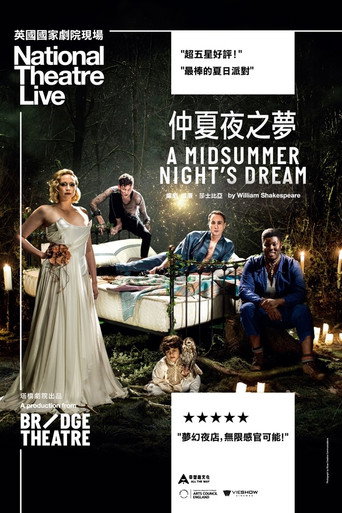 仲夏夜之梦海报