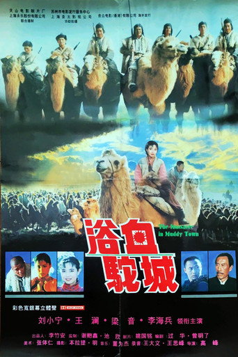浴血驼城海报