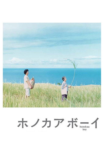 夏威夷男孩海报