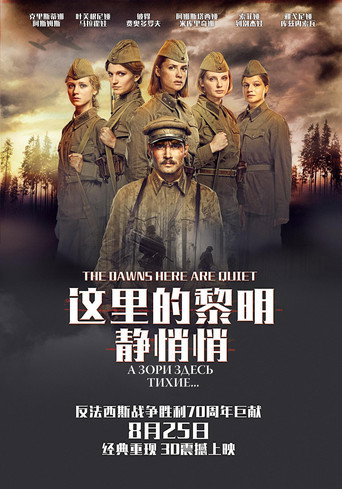 这里的黎明静悄悄海报