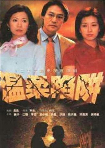 温柔陷阱海报