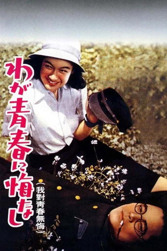 我对青春无悔海报