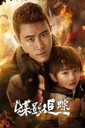 蝶影追踪海报