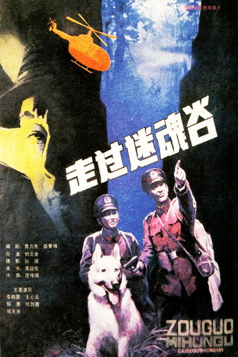 走过迷魂谷海报